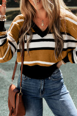 Brown Contrast Stripe Textured Knit V-Neck Sweater