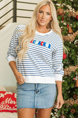 FIRECRACKER Blue Striped Chenille Embroidered Sweatshirt